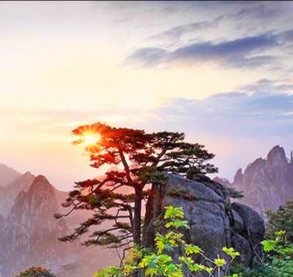 怎么登录华为账号