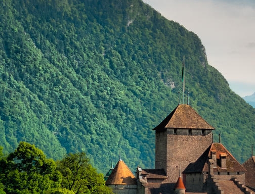 如何加入粉象生活推广