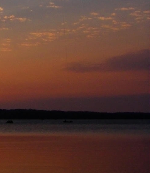 粉象生活怎么赚钱的