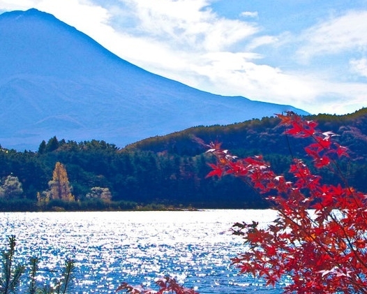 粉象生活制作视频