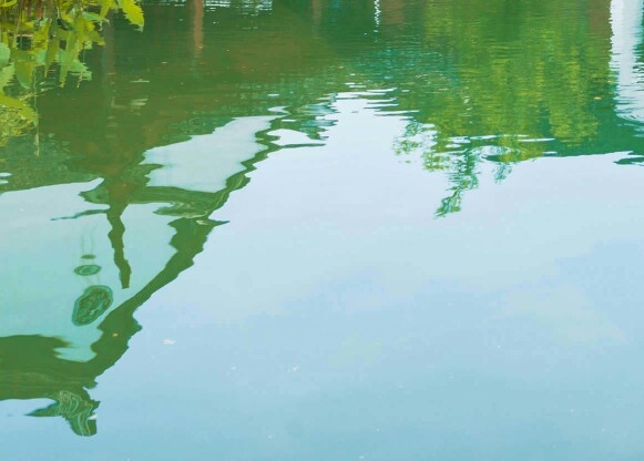 粉象生活新人福利分现金