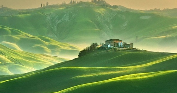 海豚优惠和粉象生活哪个好