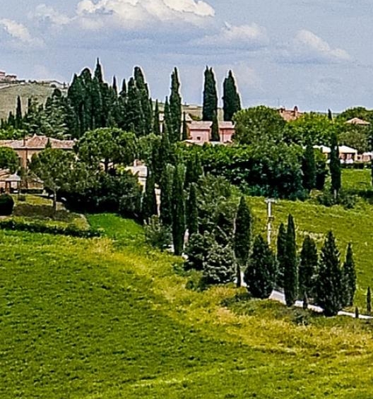 粉象生活真实收入