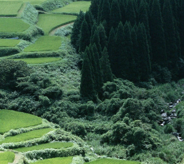 粉象生活没有粉丝能赚钱吗