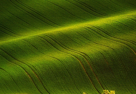 粉象生活新手怎么做