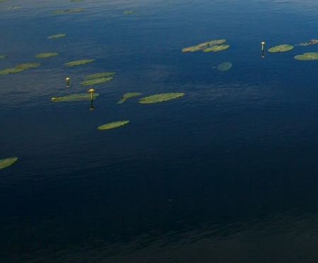 粉象生活上怎么领取优惠券