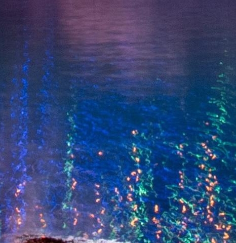 粉象生活能赚到钱吗