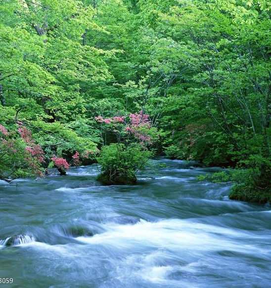 粉象生活粉丝怎么增加