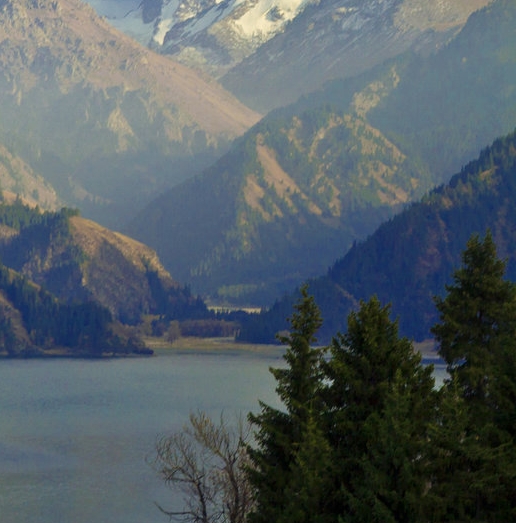 粉象生活怎么使用头条号