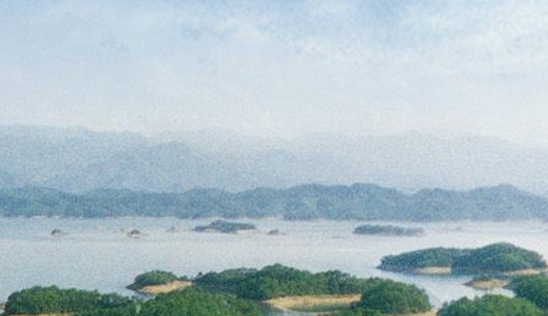 江门粉象生活合伙人