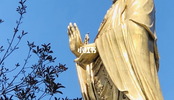 电商粉象生活是什么意思