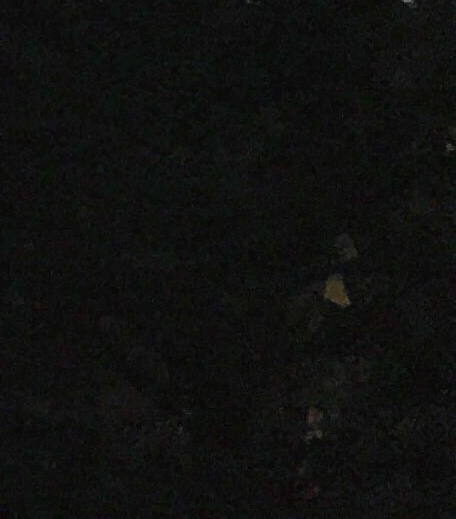 粉象生活邀请制度