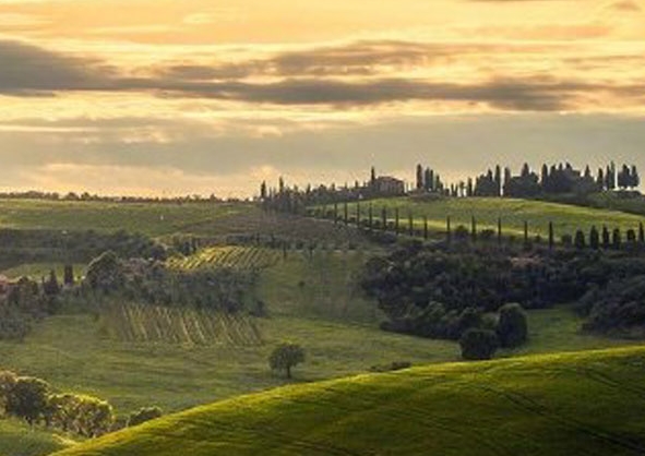 粉象生活能赚到钱吗