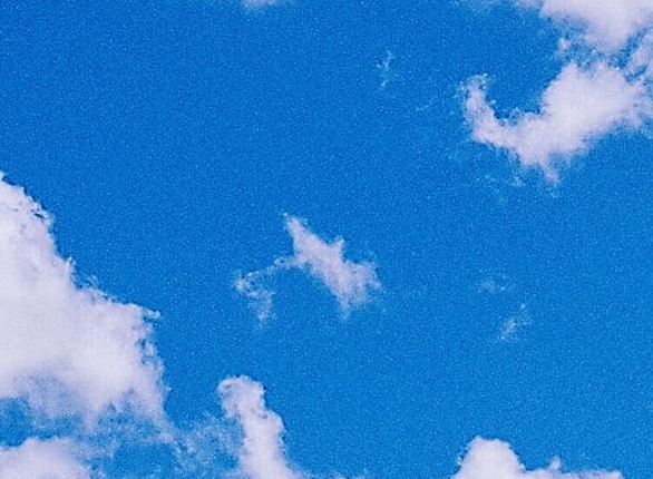 粉象生活app