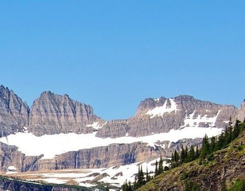 粉象生活加盟收入