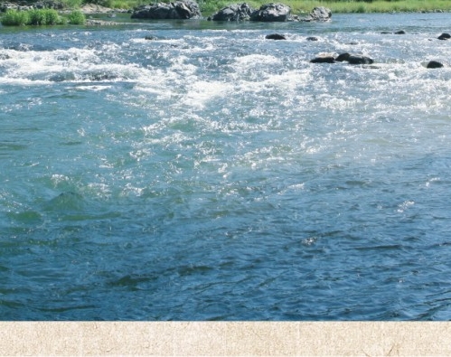 怎么做粉象生活的代理