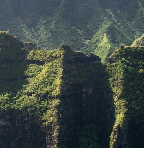 粉象的粉丝佣金在哪里看