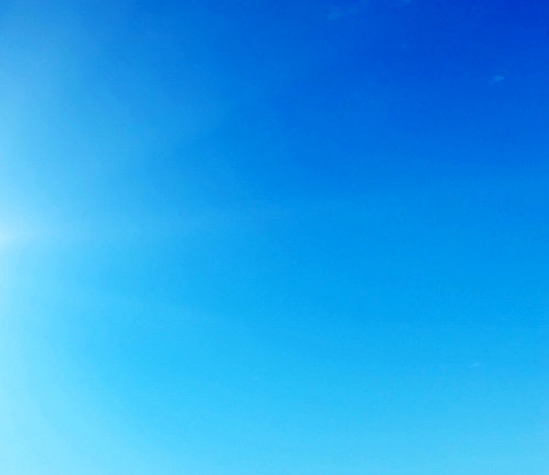 口碑粉象生活app