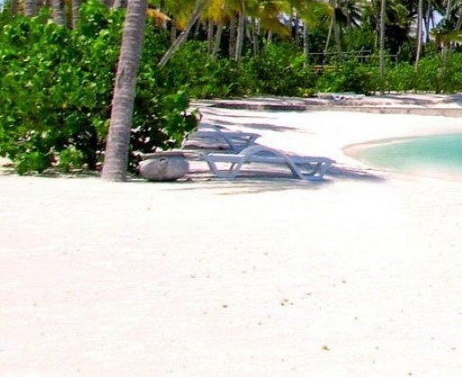 宁波粉象生活注册邀请码