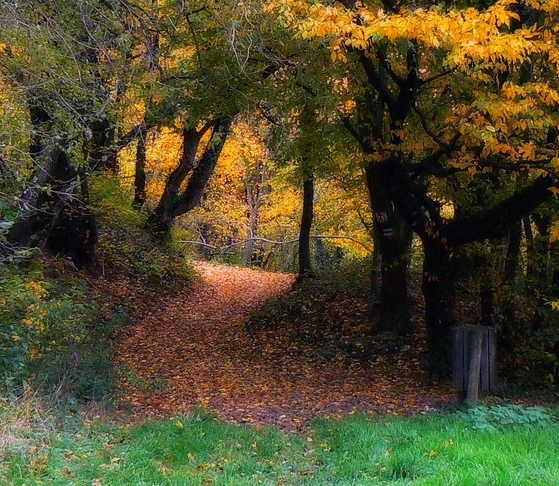 江西粉象生活下载
