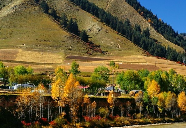 粉象生活推广是怎么赚钱的