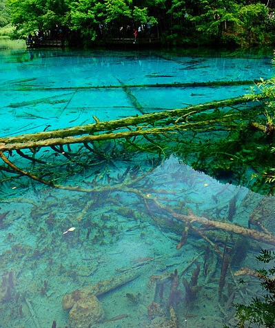 粉象生活如何改头像和微信名