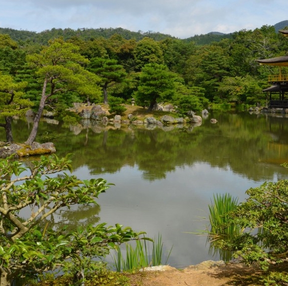 粉象生活邀请码