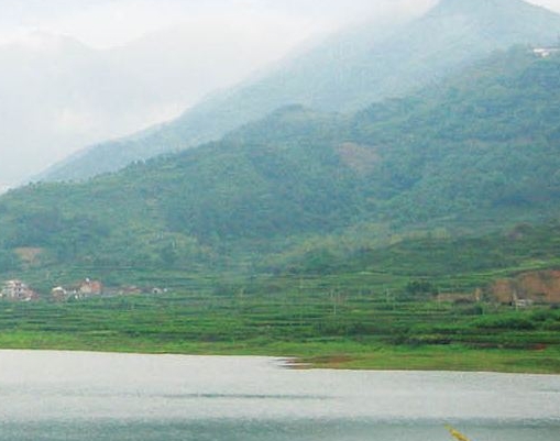 粉象生活粉丝id