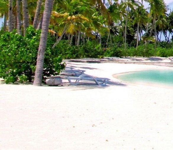 粉象生活卸载返利