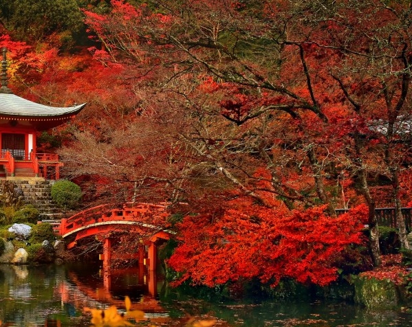 粉象生活