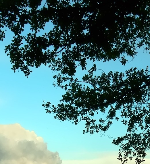 粉象生活邀请码