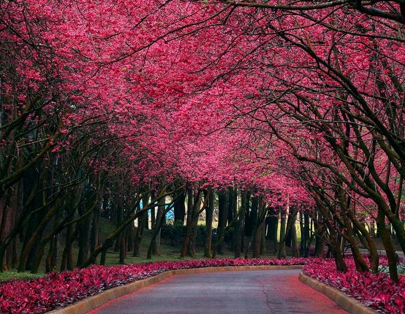 粉象生活商家注册