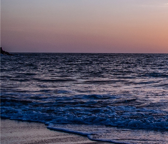 粉象生活怎么领优惠券