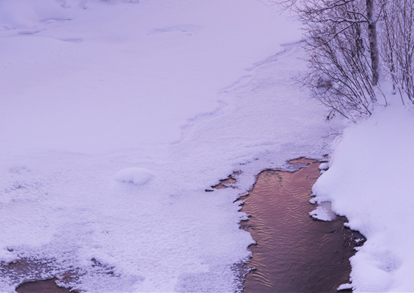 粉象生活是个什么东西