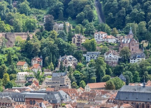 粉象生活闲鱼教程