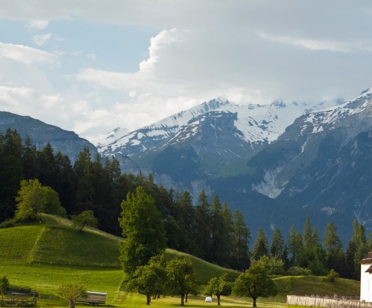 粉象生活的名牌