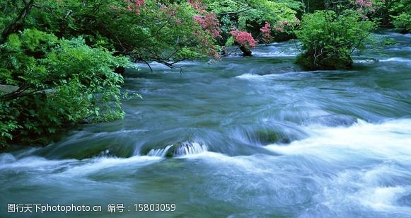 粉象生活app正规吗