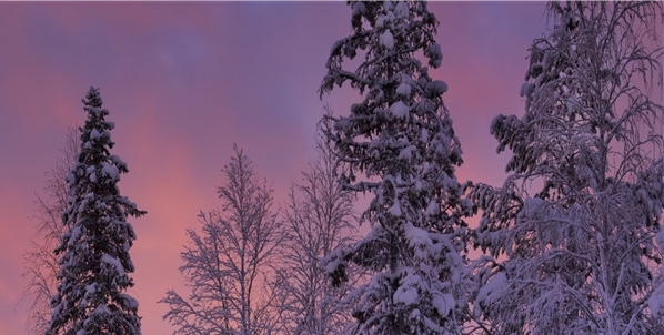 粉象生活送手机可靠吗
