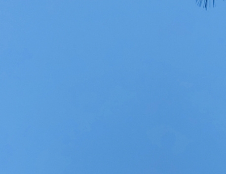 粉象生活怎么赚钱