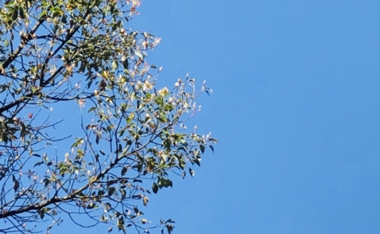 粉象生活怎么赚钱