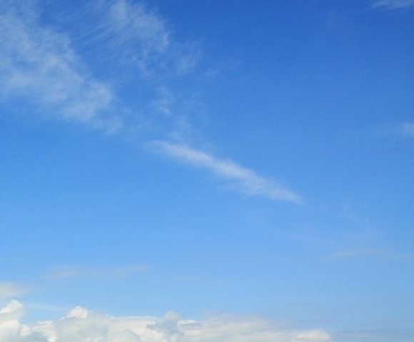 粉象生活靠什么盈利