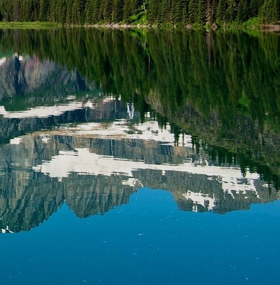 粉象生活怎么赚钱