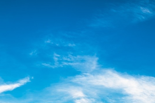 嘉兴粉象生活注册