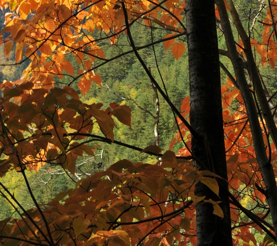 粉象生活邀请码