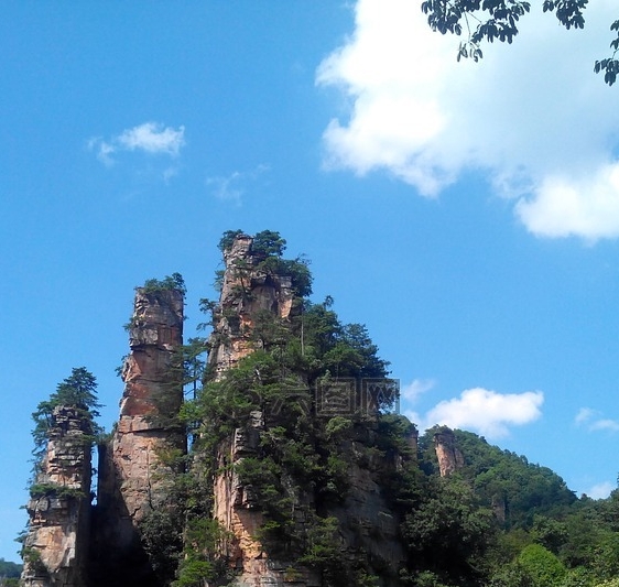 粉象生活公益分享