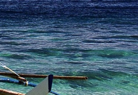 粉象生活能赚到钱吗