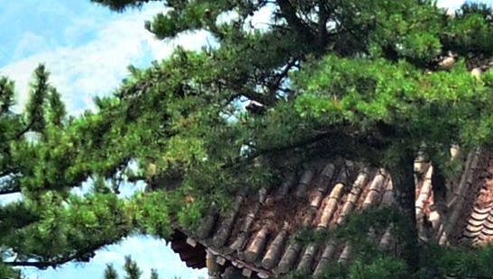粉象生活粉丝怎么增加
