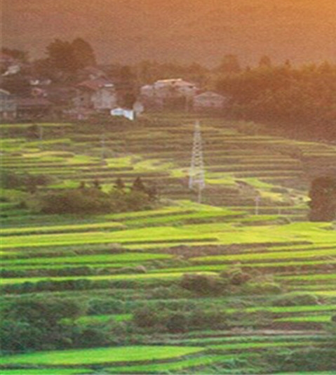 粉象生活怎么注册新号