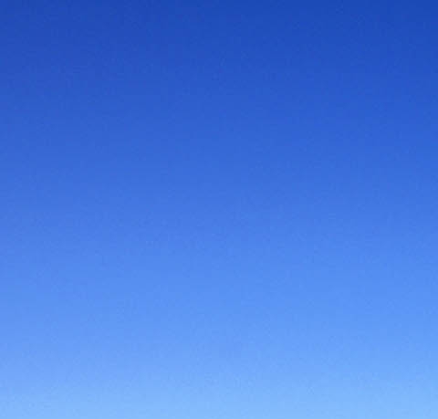 粉象生活下载app