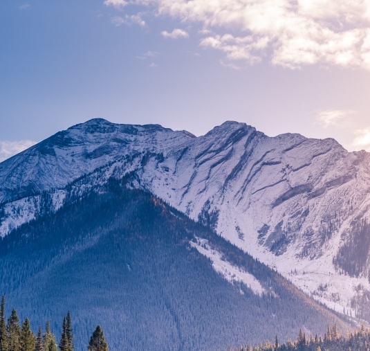 下载粉象生活app